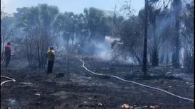 Incendio en Campeche consume más de 150 hectáreas de área protegida de Los Petenes