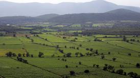 Pepsico, Bimbo y Modelo 'contratarán' hectáreas de cultivo en Zacatecas