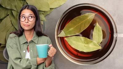 ¿Qué efectos tiene tomar té de laurel en ayunas? 
