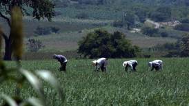 IMSS promueve incorporación de trabajadores agrícolas a la seguridad social 