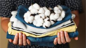 Productores de ropa le apuestan a la sustentabilidad con algodón sostenible