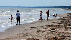 Vacaciones de verano 2023: Cierran playas en Tabasco por presencia de marea roja