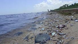 Marea roja avanza en Yucatán y Tabasco; cierre de playas afecta periodo de vacaciones
