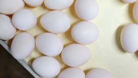 ¿Imaginas comer claras de huevo falsas? Esto ya es una realidad