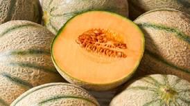 Inflación ‘por los cielos’ y pasa esto: 200 hectáreas de melón se pierden por granizada 