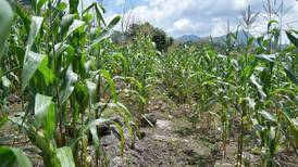 COP28: Urge cambiar forma de producir alimentos en México, admite el Gobierno