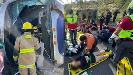 Autobús con fans de Harry Styles se accidenta en la México-Puebla; hay al menos 25 heridos