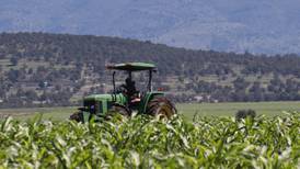 Guanajuato, con todo para recuperar su liderazgo agrícola