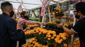 ¿Ya tienes todo para la ofrenda de este año? Lánzate al Festival de las Flores de Cempasúchil en CDMX
