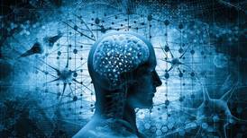 ¡Tu cerebro no piensa!: Uno de varios mitos creados para divulgar neurociencia