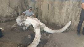 Tultepec, tierra de cazadores de mamut: hallan fósiles y trampas únicas en el mundo