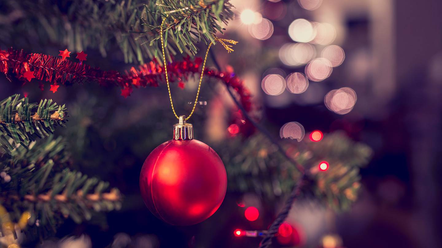 Árbol de Navidad: ¿Cuándo se debe poner y cuál es su origen? – El Financiero