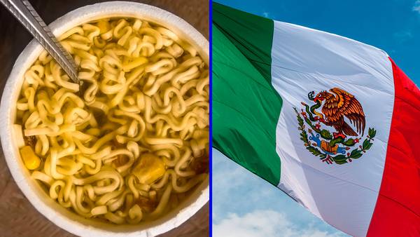 ¿Cuánta sopa instantánea nos comemos los mexicanos?