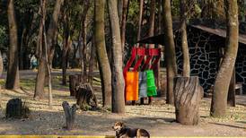Perritos asesinados en Xochimilco: Esto sabemos de los 25 lomitos encontrados en Bosque Nativitas