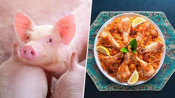 Mundial 2022 sin tacos al pastor: ¿Por qué no se puede comer carne de cerdo en Qatar?