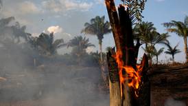 Amnistía Internacional responsabiliza a Bolsonaro por incendios en el Amazonas