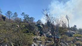 Incendio forestal en Miquihuana, Tamaulipas, ha ‘arrasado’ 40 hectáreas