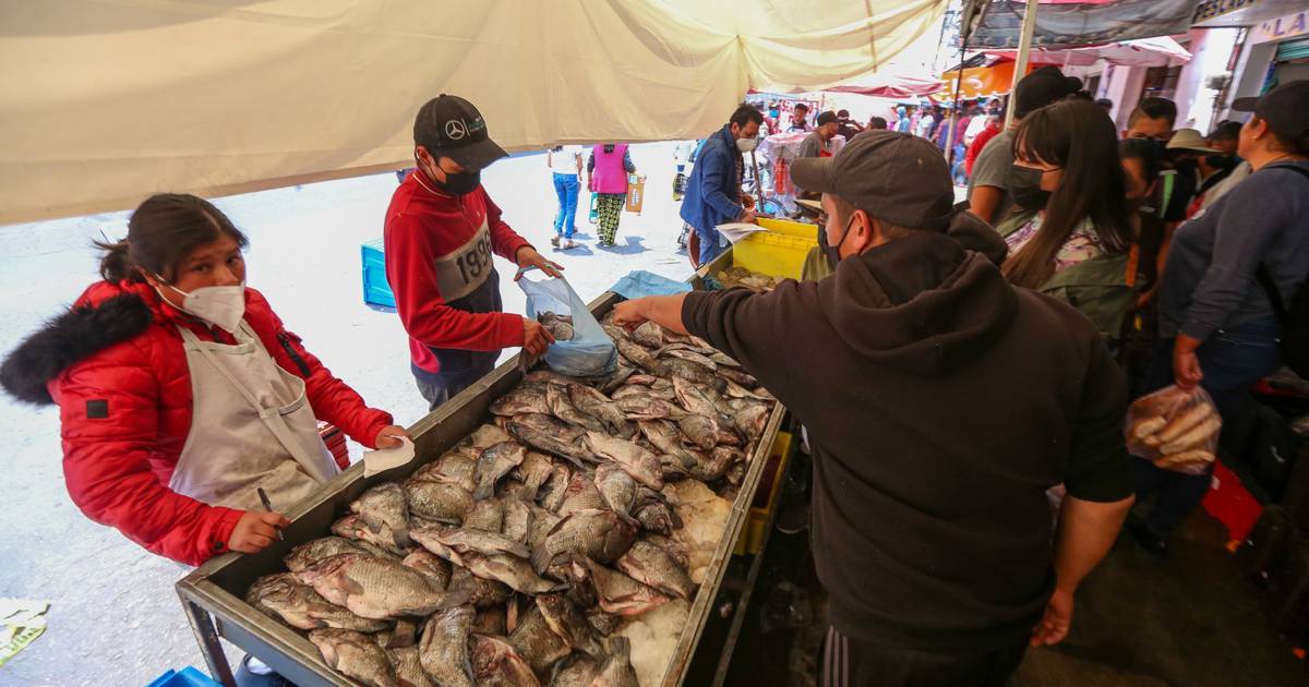 Inflación 'le pega' a la cuaresma: Este es el precio de mariscos y pescados  en CDMX y Edomex – El Financiero