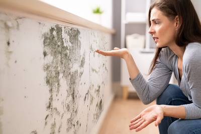 Despídete del moho: Así puedes eliminar la humedad de las paredes