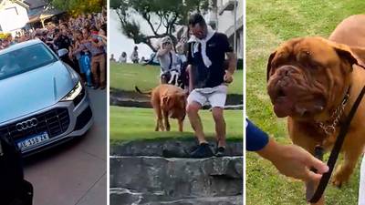 “¡Es el perro de Messi!”: ‘Hulk’ fue recibido como héroe en Argentina (VIDEO)