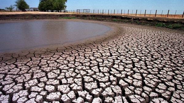 Se avecinan más olas de calor, ¿Cómo está Texas en cuestión de sequía?