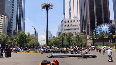 ‘Adiós, palmera bendita’: Entre agradecimientos y rezos despiden a La Palma de Reforma
