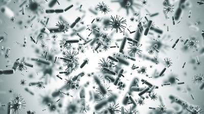 Gonorrea, la bacteria infecciosa que está desafiando con su resistencia a los antibióticos