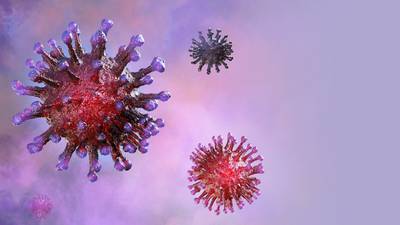 Virus de Marburgo: ¿Qué es, síntomas y por qué es una amenaza?