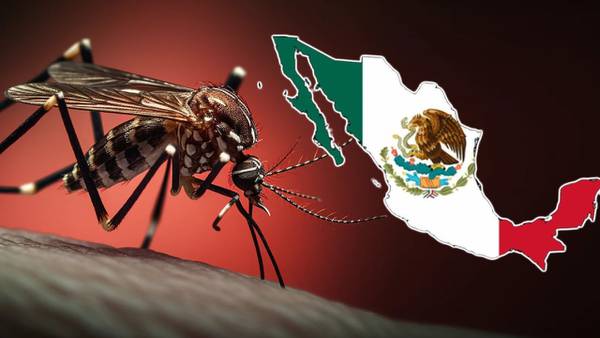 Brote de DENGUE está atacando a México y habría 41 MIL infectados: Estados más afectados