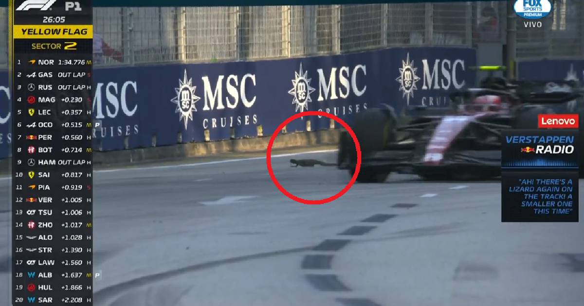 Oh shit, Godzilla?  Lizards invade Singapore GP track and ALMOST crush them (VIDEO) – Fox Sports