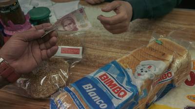 Galletas y pan dulce ‘alegran’ al Osito Bimbo: acumula ingresos por 99 mil mdp en 1T23