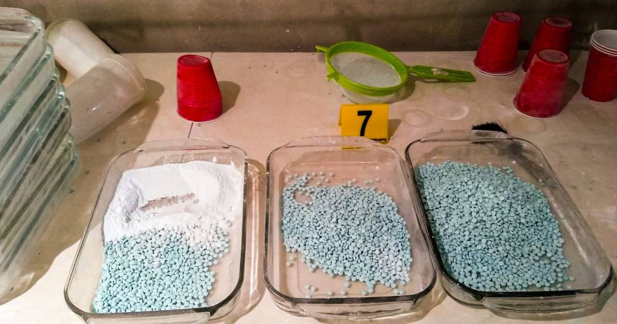 Les âagÃ¼itanâ la fiesta: Decomisan 100 toneladas de precursores del fentanilo en Sinaloa