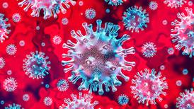 ¿Otro coronavirus? Descubren que el SADS-CoV, que causa diarrea en cerdos, se replica en células humanas