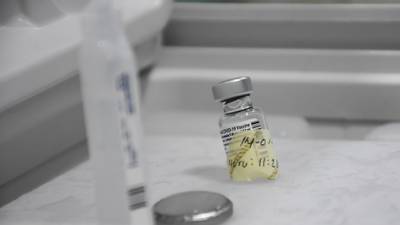 México no recibirá vacunas contra COVID de Pfizer en las siguientes dos semanas: Herrera
