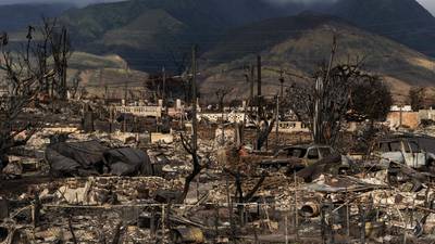 Todavía hay 385 personas desaparecidas tras el devastador incendio forestal en Maui
