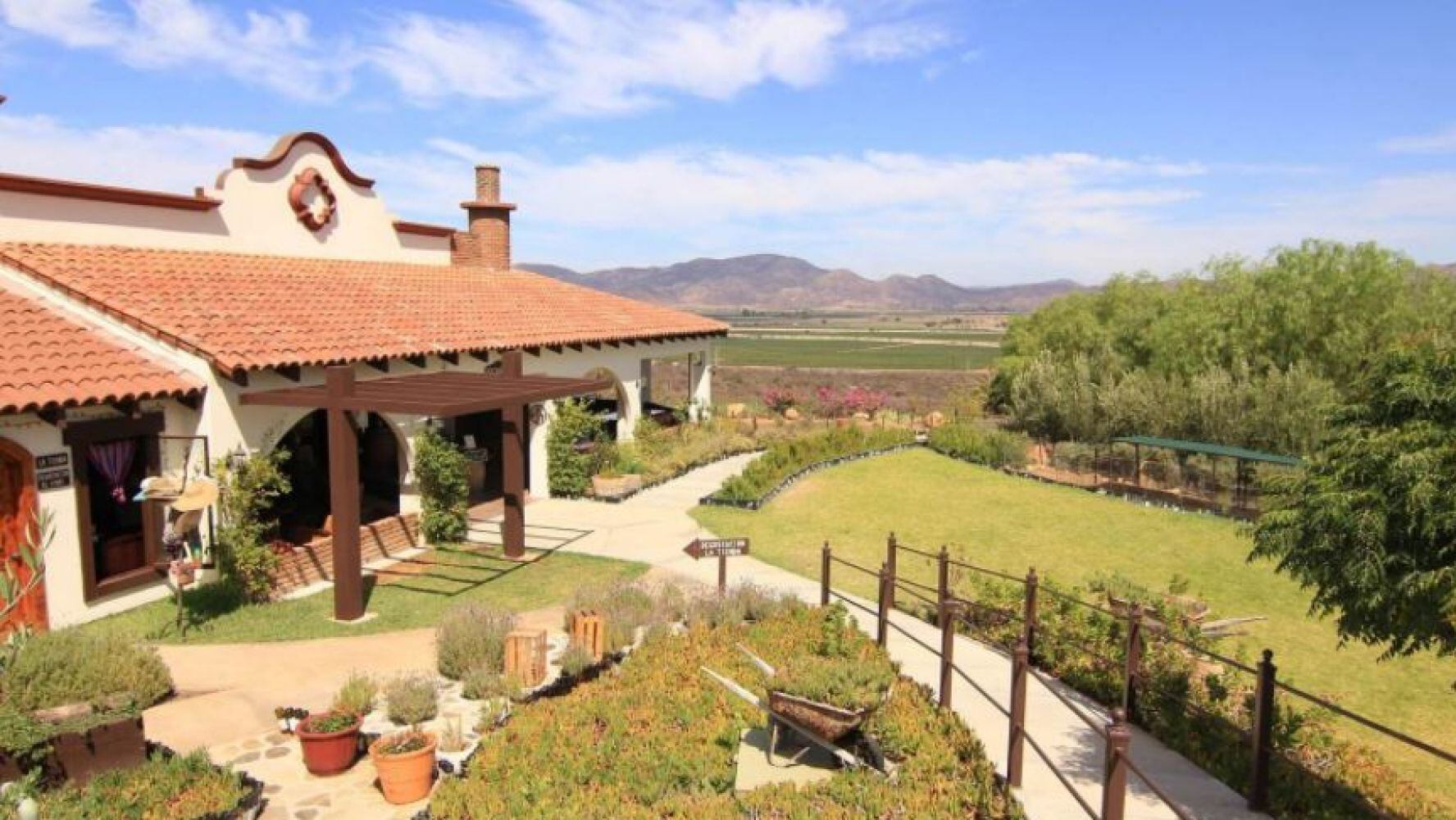 Recolectar 112+ images viñedo la lomita ensenada Viaterra.mx