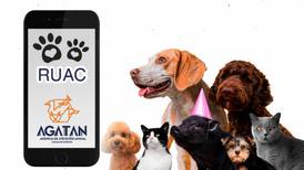 CURP o Registro de Mascotas en CDMX: ¿Por qué es obligatoria la RUAC y cómo obtenerla gratis?