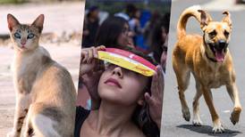 ¿El eclipse solar 2023 puede afectar a los animales? Esto ha dicho la UNAM
