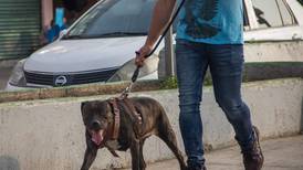 Contra el maltrato animal: 12 perros son rescatados en la Gustavo A. Madero