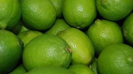 Gobierno de AMLO sospecha de ‘mano negra’ en precios ‘de locura’ del limón