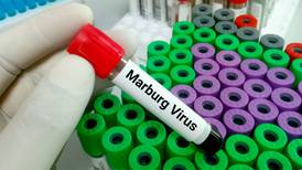  Virus de Marburgo: OMS y Guinea Ecuatorial analizan tratamientos experimentales 
