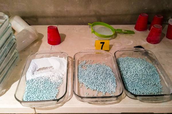 Les ‘agüitan’ la fiesta: Decomisan 100 toneladas de precursores del fentanilo en Sinaloa
