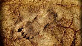 Encuentran huellas humanas con 300 mil años de antigüedad en Alemania