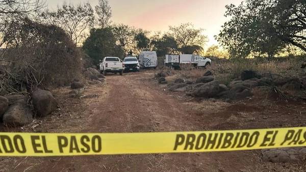 Masacre en ‘tierras  naranjas’: Esto sabemos del asesinato de cinco personas en Jalisco