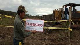 Clausuran predio en Campeche por desmonte de más de 24 hectáreas