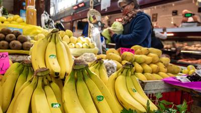 Profeco saca al plátano de la canasta básica: ¿Qué frutas estarán a bajo costo en la primavera?