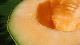 Salud de Sonora descarta que haya brote de salmonela en melones exportados