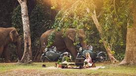 ¡Una aventura en la jungla! Dormir entre elefantes en una noche estrellada ya es posible  