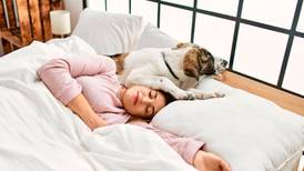 Dormir con tu mascota no es buena idea: Así es como afecta tu calidad del sueño