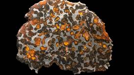  ‘Elaliita’ y ‘Elkinstantonita’, dos nuevos minerales descubiertos en Somalia